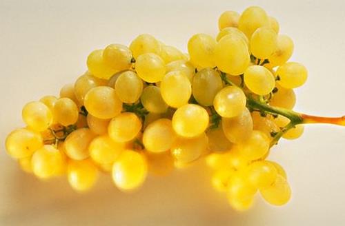 電腦一族養生須知 維生素護眼貢獻大