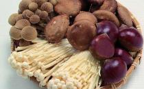 常吃蘑菇益氣健脾養胃 盤點蘑菇的功效