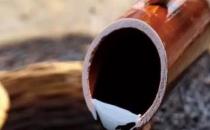 醋怎么用有利健康？盤點醋的妙用與禁忌