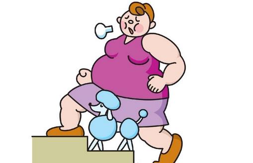 5種最熱門的減肥法盤點