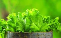 冬季排毒吃什么好？11種食物吃掉體內毒素