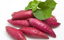 紅薯，世界上性價比最高的食物