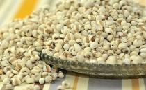 體內濕氣重吃什么好？去除濕氣的食物推薦