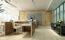 辦公室風水植物有哪些？辦公室風水禁忌