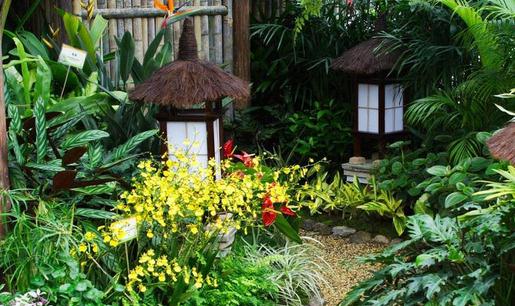 庭院風水設計要點-庭院風水水池如何布置?