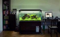 魚缸與家居運勢有什么關系？