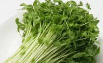 吃什么瘦臉？十款食物幫你成就小V臉