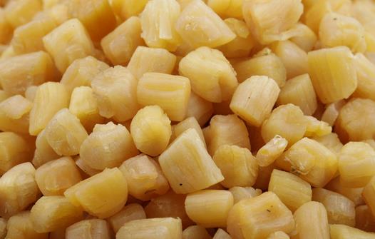 補(bǔ)腎的食物有哪些？12種天然補(bǔ)腎圣品推薦