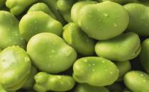 當心！15種食物含有天然毒素