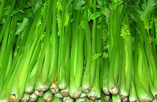 芹菜可平肝降壓 盤點(diǎn)芹菜的五大營(yíng)養(yǎng)功效