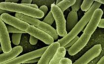 經?！皾摲庇谑澄镏械募毦心男咳绾晤A防？