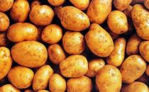 睡前吃什么不發胖？10女人最愛睡前食物推薦