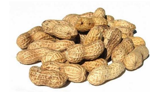 警惕!7種人吃花生短命