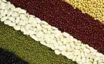 秋天吃什么對皮膚好？五豆食譜助你滋養肌膚