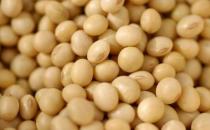 吃什么對(duì)乳房好？保護(hù)乳房的9種食物推薦