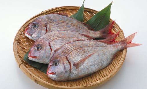 魚類的5大功效你知道嗎？