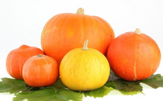 冬季進補養胃吃什么好?五種養胃食物推薦