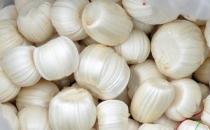 祭灶節吃灶糖 告訴你關于灶糖的常識