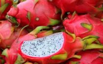 眼疲勞吃什么好？6種緩解眼睛疲勞的水果推薦