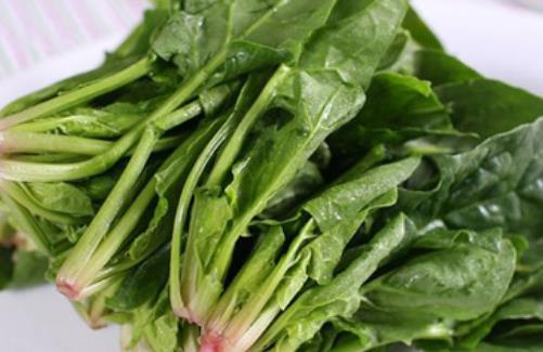 秋季十種食物幫你護發