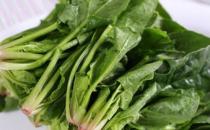 秋季十種食物幫你護發