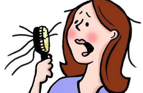 關(guān)于脫發(fā)的知識(shí)