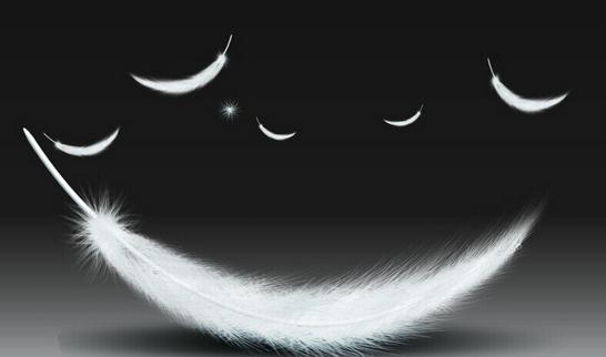 羽絨和羽絨棉應該怎么區分?