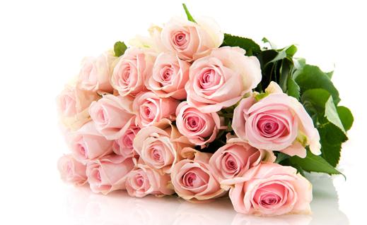 情人節送什么花?情人節送花指南