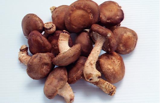 揭秘!廚房里隱藏的4大養發高手