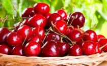 兩大美容圣品推薦 今天你美了嗎