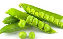 吃出白嫩肌！10種蔬菜不能少