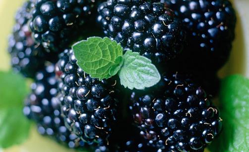 女性吃這6種食物緩解衰老