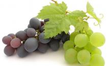 節日飲酒過量怎么辦？十種解酒食物推薦