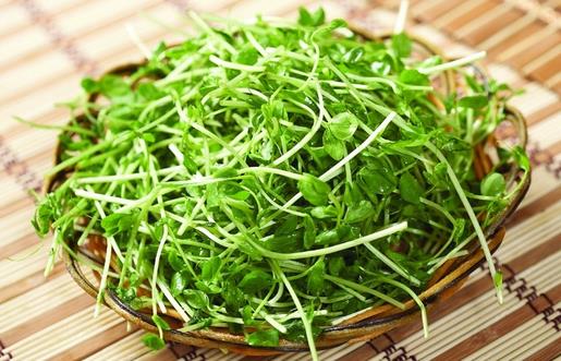 告別大餅臉常吃這幾種食物