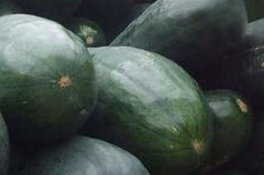 春季吃什么祛火?六種春季祛火食物推薦