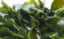 海帶護發功效好 教你制作美味的海帶大餐