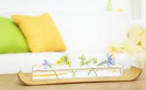 家庭里綠色滅蟑螂的妙招