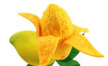 頭發干枯毛躁吃什么水果