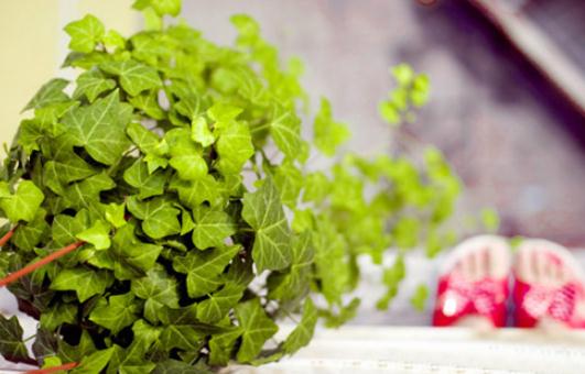 學(xué)會這些妙招讓你涼爽過一夏！