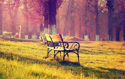 毛衣掉毛怎么辦？10個生活妙招