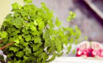 學(xué)會這些妙招讓你涼爽過一夏！