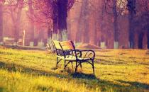 毛衣掉毛怎么辦？10個生活妙招