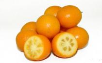 金桔富含營養 果皮果肉均可吃