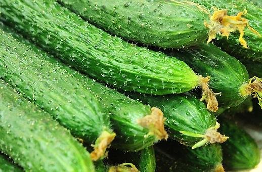 夏季吃什么美容？10大美容護膚食物推薦