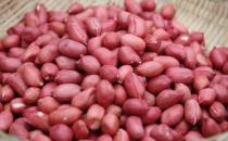 2款卵巢保養食療