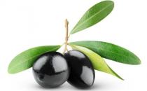 橄欖油能護發？五大護發秘笈