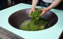 現炒茶至少存放10天后再喝