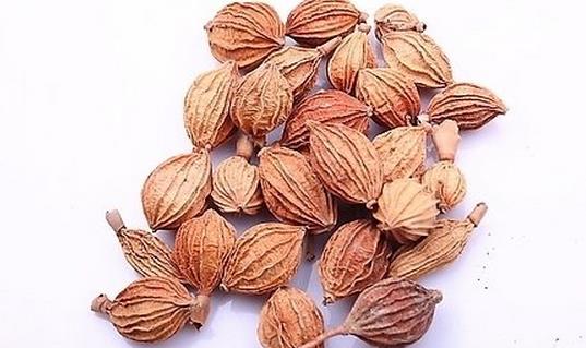 吃砂仁對癥喝果汁