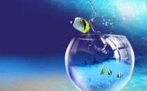 魚(yú)缸的清理方法