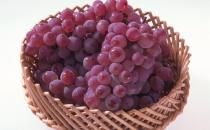 幾種產(chǎn)后補血食材不容小覷